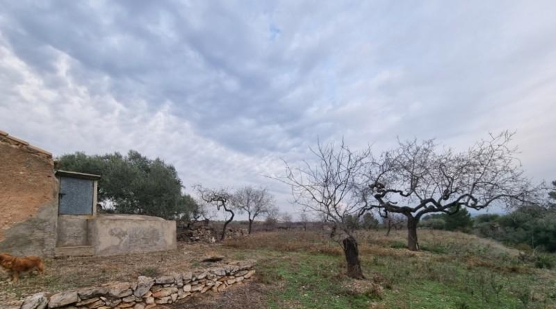 Tarragona - el Perelló - 10454m2
