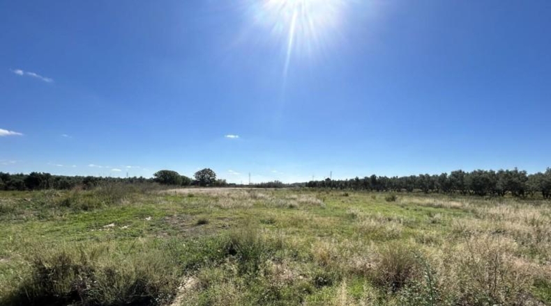 Navarra - Tudela - 5900m2