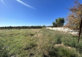 Terreny no urbanitzable en venda a la España, Tudela, ref.: TR123872 foto