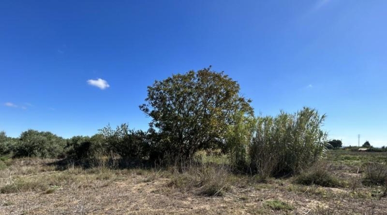 Navarra - Tudela - 5900m2