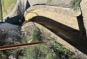Foto 10