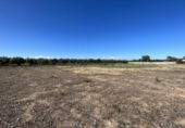 Terreny no urbanitzable en venda a la España, Tudela, ref.: TR123872 foto