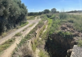 Terreny no urbanitzable en venda a la España, Tudela, ref.: TR123872 foto