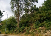 Non-developable land for sale on España, Vilar, ref: TR115480 photo