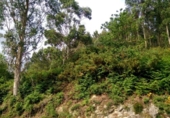 Non-developable land for sale on España, Vilar, ref: TR115480 photo