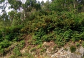 Non-developable land for sale on España, Vilar, ref: TR115480 photo