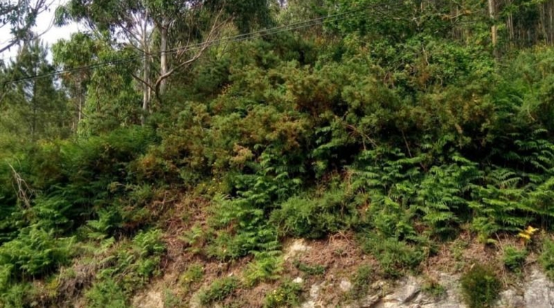 La Corunya - Quintáns - 2483m2