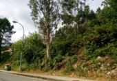 Non-developable land for sale on España, Vilar, ref: TR115480 photo