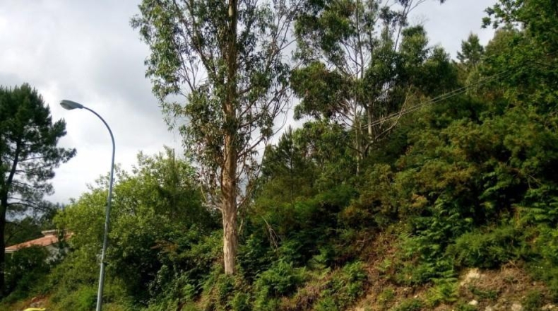 La Corunya - Quintáns - 2483m2