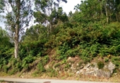 Non-developable land for sale on España, Vilar, ref: TR115480 photo