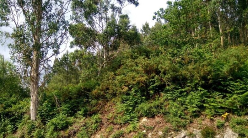 La Corunya - Quintáns - 2483m2