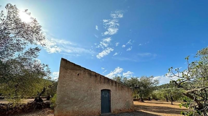 Tarragona - Freginals - 20446m2