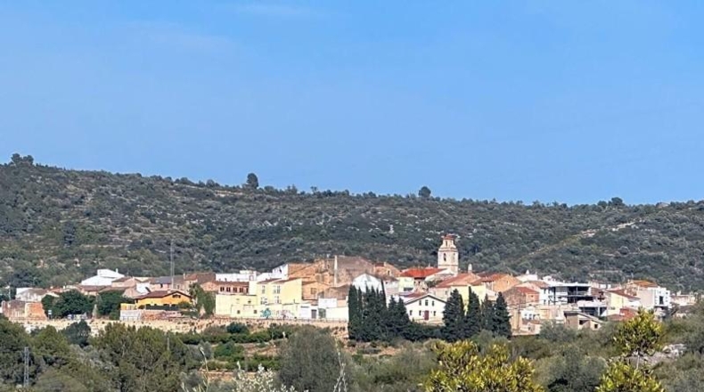 Tarragona - Freginals - 20446m2