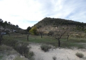 Terreny no urbanitzable en venda a la España, Monòver, ref.: TR119123 foto