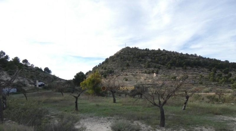 Alicante - Monóvar - 10041m2