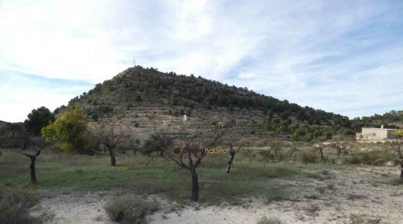 Alicante - Monóvar - 10041m2