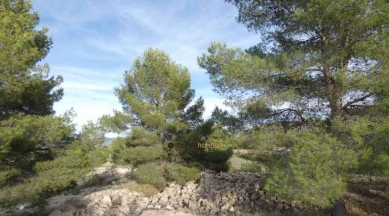 Alicante - Monóvar - 10041m2