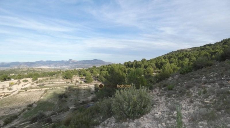 Alicante - Monóvar - 10041m2