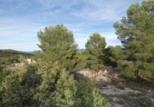 Terreny no urbanitzable en venda a la España, Monòver, ref.: TR119123 foto