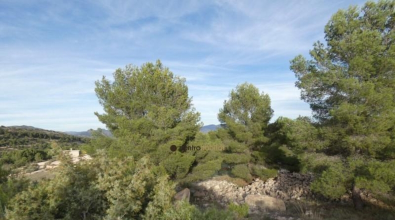 Alicante - Monóvar - 10041m2