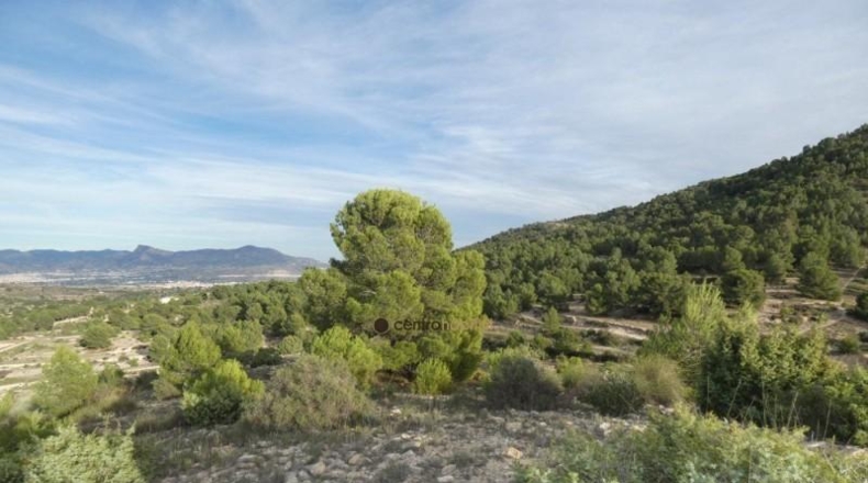 Alicante - Monóvar - 10041m2