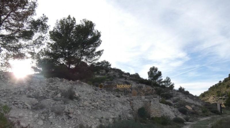 Alicante - Monóvar - 10041m2