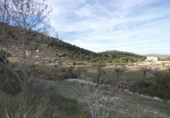 Terreny no urbanitzable en venda a la España, Monòver, ref.: TR119123 foto