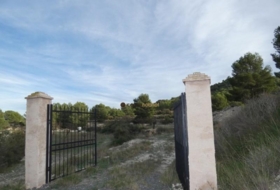 Foto 15