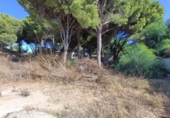 Terreny no urbanitzable en venda a la España, Chiclana de la Frontera, ref.: TR330520 foto