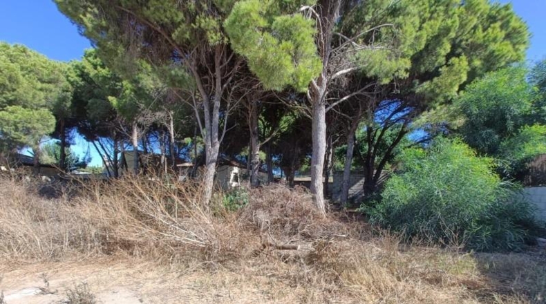 Cadiz - Chiclana de la Frontera - 426m2