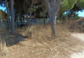 Terreny no urbanitzable en venda a la España, Chiclana de la Frontera, ref.: TR330520 foto