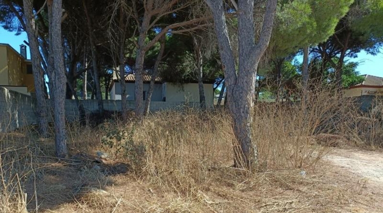 Cadiz - Chiclana de la Frontera - 426m2