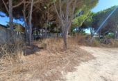 Terreny no urbanitzable en venda a la España, Chiclana de la Frontera, ref.: TR330520 foto