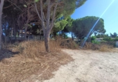 Terreny no urbanitzable en venda a la España, Chiclana de la Frontera, ref.: TR330520 foto
