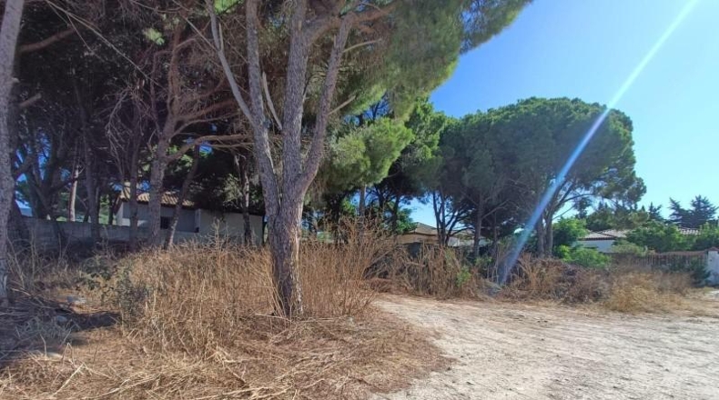 Cadiz - Chiclana de la Frontera - 426m2