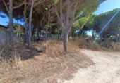 Terreny no urbanitzable en venda a la España, Chiclana de la Frontera, ref.: TR330520 foto