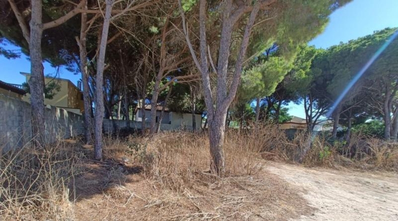 Cadiz - Chiclana de la Frontera - 426m2