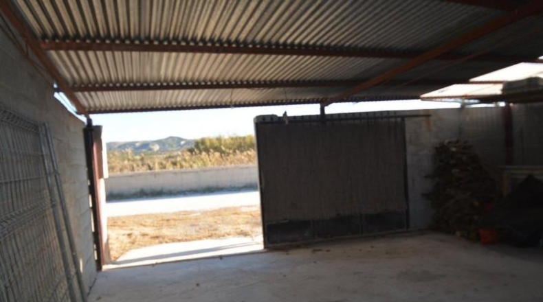 Alicante - Benejúzar - 181m2