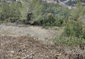 Участок с постройкой на продажу в городе Castellet Фото