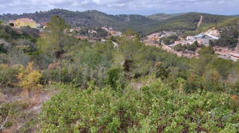 Tarragona - Кунит - 1100m2