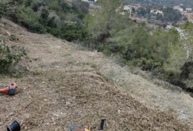 Foto 9