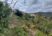 Участок с постройкой на продажу в городе Castellet Фото