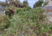 Участок с постройкой на продажу в городе Castellet Фото