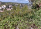 Участок с постройкой на продажу в городе Castellet Фото