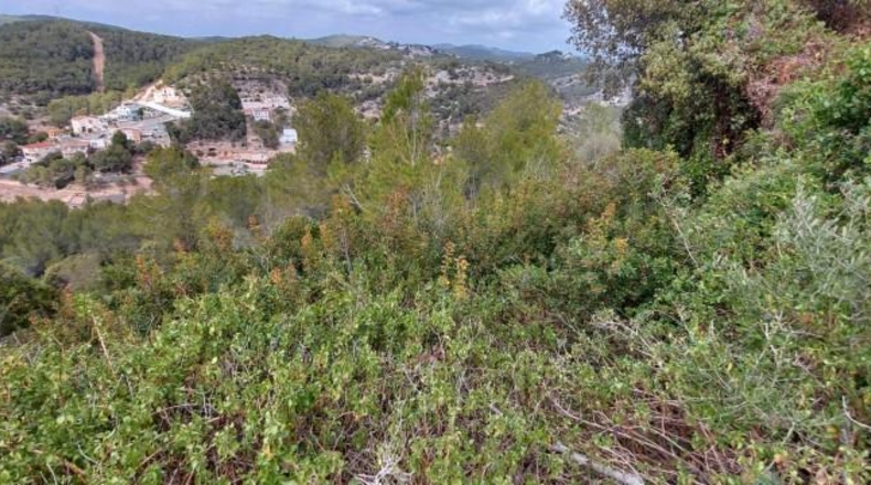 Tarragona - Кунит - 1100m2