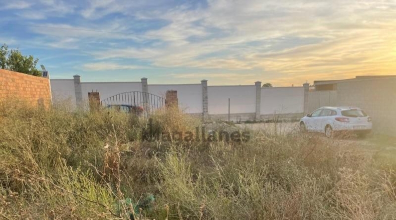 Cadiz - Sanlúcar de Barrameda - 480m2