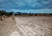 Non-developable land for sale on Pasaje los Díaz, Cartagena, ref: TR403109 photo