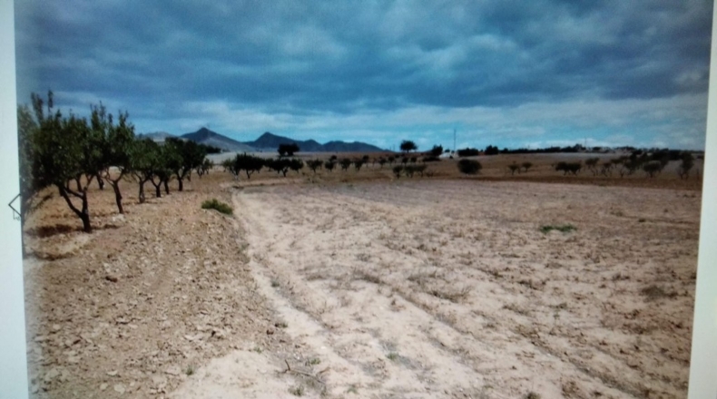 Múrcia - Cartagena - 3900m2