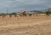 Non-developable land for sale on Pasaje los Díaz, Cartagena, ref: TR403109 photo