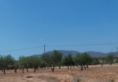 Non-developable land for sale on Pasaje los Díaz, Cartagena, ref: TR403109 photo